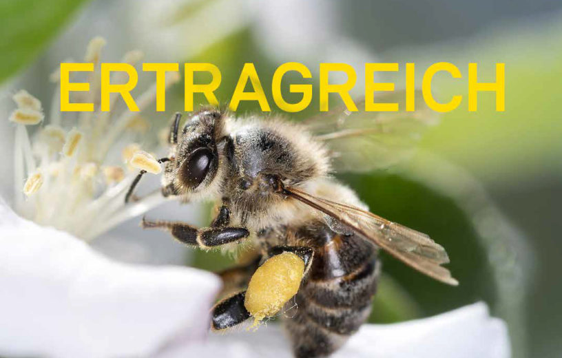 Investieren nach ESG-Ansatz